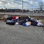 Litter/Illegal Dumping at 728 23 Rd St