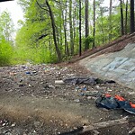 Litter/Illegal Dumping at 463 Oyster Point Rd