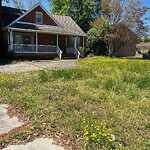 Tall Grass/Weeds at 15617 Warwick Blvd