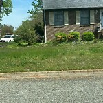 Tall Grass/Weeds at 109 Deep Spring Dr