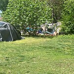 Litter/Illegal Dumping at 209 Wells Rd