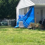 Litter/Illegal Dumping at 82 Pollard Dr