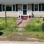 Other at 115 Groome Rd