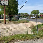Tall Grass/Weeds at 10753 Jefferson Ave