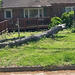 Other at 23 Rutledge Rd