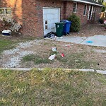 Litter/Illegal Dumping at 17 Meadow Dr
