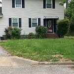 Tall Grass/Weeds at 322 Bernard Dr