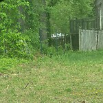 Other at 123 Allison Rd