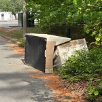 Litter/Illegal Dumping at 39 Wellesley Dr
