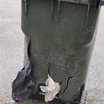 Damaged Container at 506 Pagewood Dr