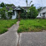 Tall Grass/Weeds at 626 33 Rd St