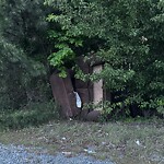 Litter/Illegal Dumping at 429 Oriana Rd