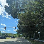 Traffic Signals at 437 J Clyde Morris Blvd
