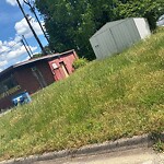 Tall Grass/Weeds at 13537 Warwick Blvd