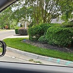 Street Obstructions at 178 Normandy Ln