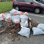 Litter/Illegal Dumping at 1442 16 Th St