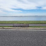 Litter/Illegal Dumping at 311 Chesapeake Ave
