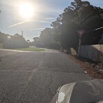 Street Obstructions at 722 Longleaf Ln