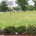 Tall Grass/Weeds at 3215 Jefferson Ave