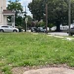 Tall Grass/Weeds at 4800 Huntington Ave