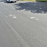 Street Obstructions at 860 26 Th St