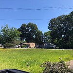 Tall Grass/Weeds at 717 73 Rd St