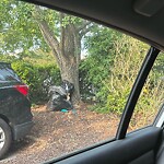 Litter/Illegal Dumping at 10335 Warwick Blvd