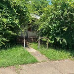 Tall Grass/Weeds at 3038 Williams St