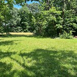 Tall Grass/Weeds at 628 Old Fort Eustis Blvd