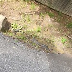 Street Repairs at 926 Red Oak Cir