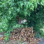 Litter/Illegal Dumping at 2215 Marshall Ave