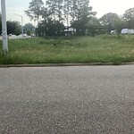 Tall Grass/Weeds at 590 City Center Blvd