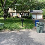Tall Grass/Weeds at 1246 Patrick Ln