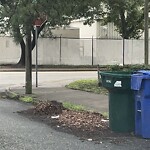 Street Obstructions at 4015 Madison Ave