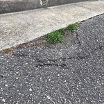 Street Repairs at 962 Willbrook Rd