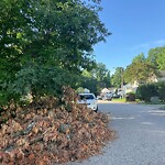Street Obstructions at 110 Osprey Way