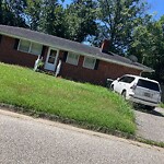 Tall Grass/Weeds at 13 Boxwood Ln