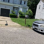 Tall Grass/Weeds at 313 Warwick Landing Pkwy