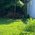 Litter/Illegal Dumping at 2213 Marshall Ave