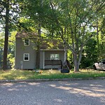 Tall Grass/Weeds at 124 Wells Rd