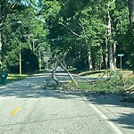 Street Obstructions at 310 Country Club Rd