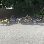 Litter/Illegal Dumping at 226 Dublin Ct