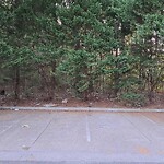 Litter/Illegal Dumping at 414 Hustings Ln
