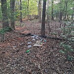 Litter/Illegal Dumping at 14579 Old Courthouse Way