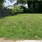 Tall Grass/Weeds at 715 32 Nd St