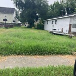 Tall Grass/Weeds at 722 19 Th St