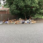 Litter/Illegal Dumping at 226 Dublin Ct