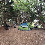 Litter/Illegal Dumping at 12153 Jefferson Ave