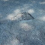 Street Repairs at 731 Kensington Dr
