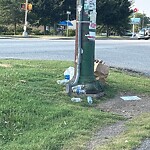 Litter/Illegal Dumping at 1003 J Clyde Morris Blvd